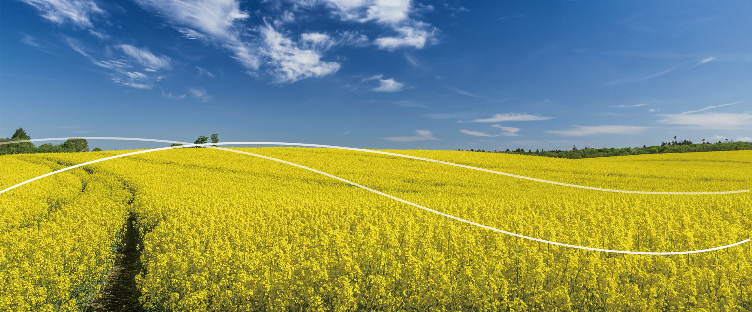 b358221a4152488c98a6af74ef8fbb79