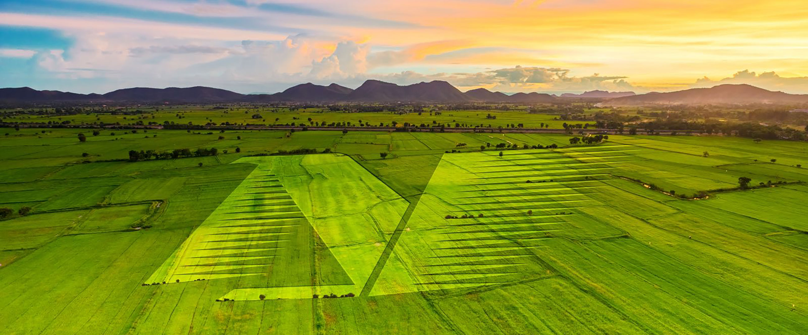 b6201314222a4cb2aa0772a6a0e67bf9