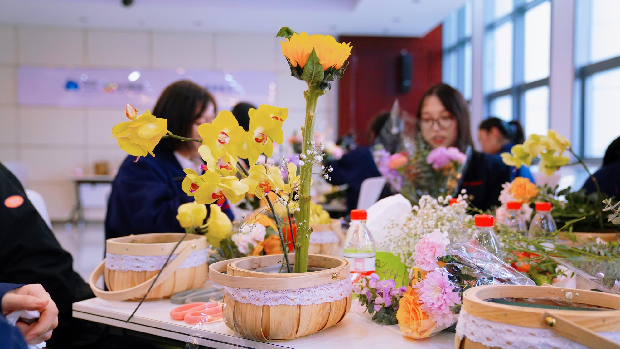 8d4b1fa33e5b45b5bb547d54a9b0e0aa