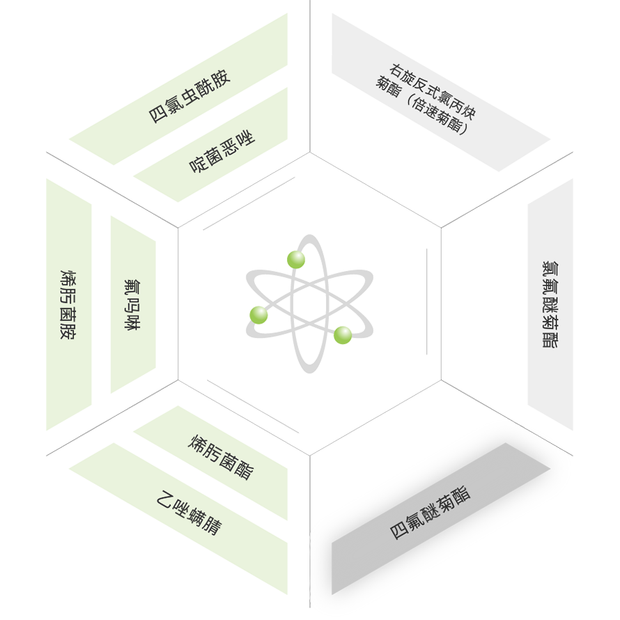PP电子(中国)有限公司官网