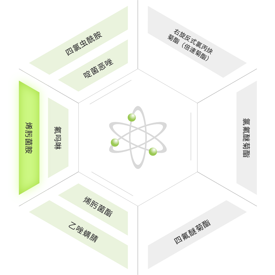 PP电子(中国)有限公司官网