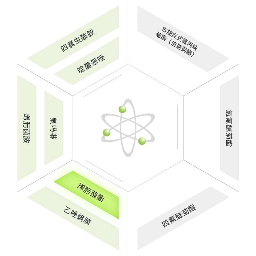 PP电子(中国)有限公司官网