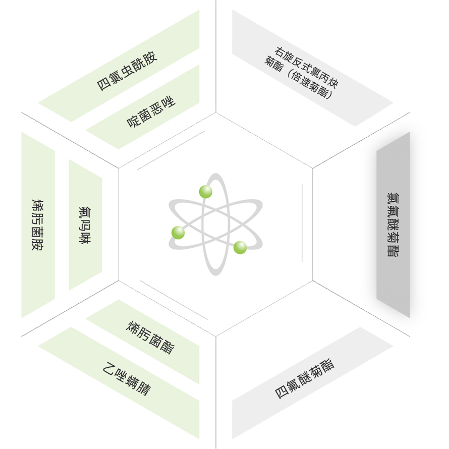 PP电子(中国)有限公司官网